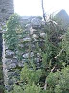 bellanamullia - 1137.JPG